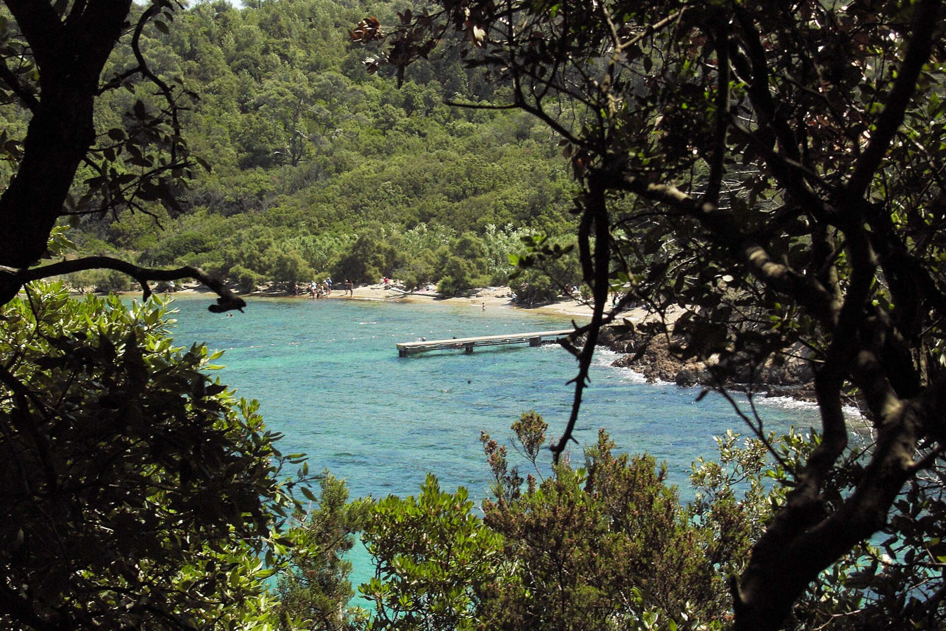 La plage de la Palud entre les arbres